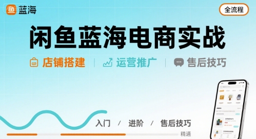 闲鱼蓝海电商实战，店铺搭建运营售后全流程-副业网资源站