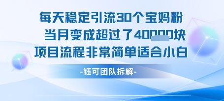 每天稳定引流30个人 当月变成超过了4个W项目流程非常简单适合小白-副业网资源站