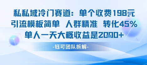 私域冷门赛道单个收费198米引流模板简单人群精准 45%的转化率单人一天大概收益多张-副业网资源站