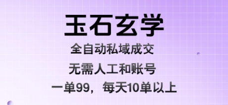 玉石玄学全自动私域成交，一单99每天十单以上，无需人工和矩阵账号，蓝海项目直接干【揭秘】-副业网资源站