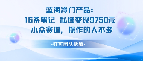 蓝海项目：16条笔记私域变现9750米小众赛道操作的人不多-副业网资源站