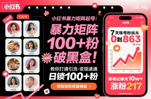 小红书暴力矩阵起号，教你打通引流-变现速通，日锁100+粉，破流量黑盒-副业网资源站