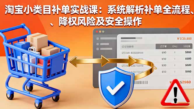 淘宝小类目补单实战课：系统解析补单全流程、降权风险及安全操作-副业网资源站