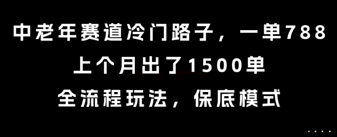 中老年赛道冷门路子，一单788，上个月出了1500单，全流程玩法，保底模式【揭秘】-副业网资源站