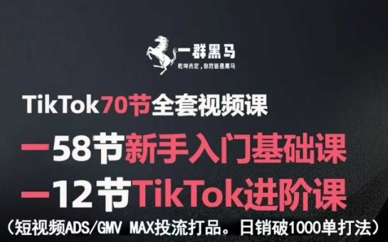 TikTok全套视频课，新手入门+进阶课，短视频ADS-GMV MAX投流打品，日销破1000单打法-副业网资源站