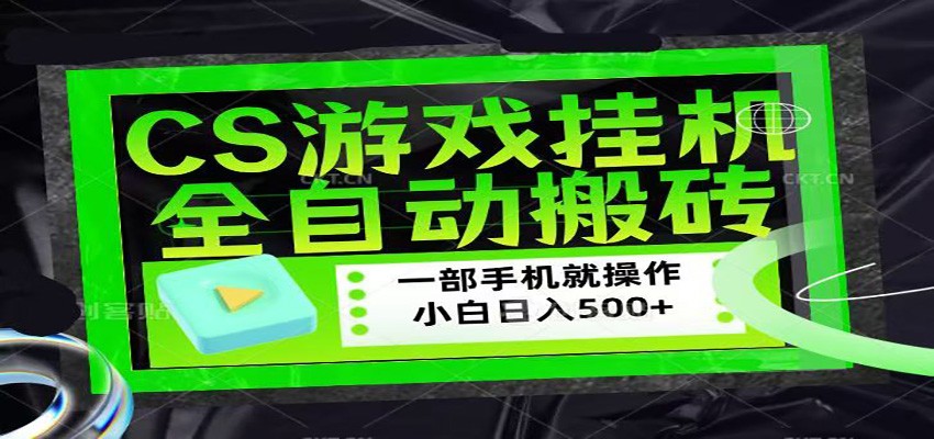 CSGO游戏挂机捡漏搬砖，超稳定的项目，带领1000+小白实现日入500+-副业网资源站