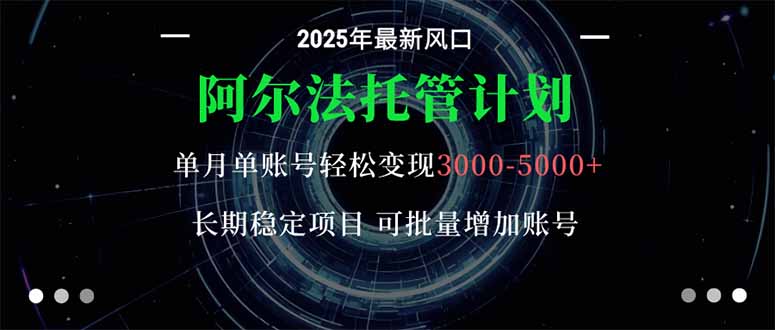 阿尔法托管计划 单账号月入3000-5000，长期稳定项目，新手小白轻松上手。-副业网资源站