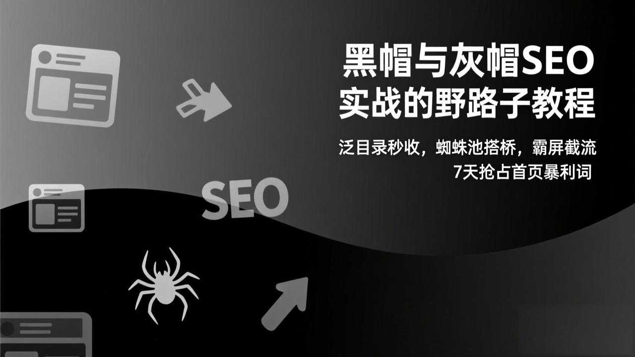 黑帽与灰帽SEO实战的野路子教程：泛目录秒收，蜘蛛池搭桥，霸屏截流，7天抢占首页暴利词-副业网资源站