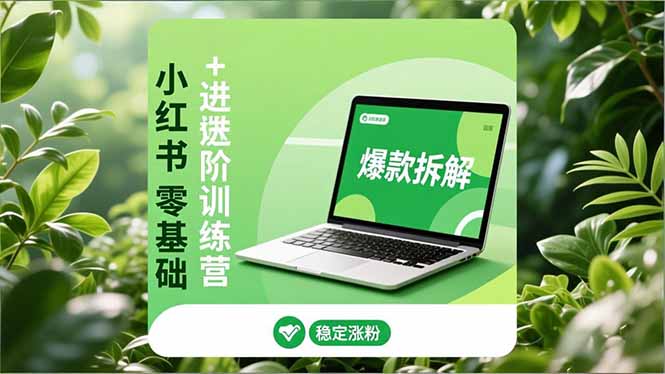小红书零基础+高阶训练营：安全养号、爆款拆解、长效运营，实现稳定涨粉与变现-副业网资源站