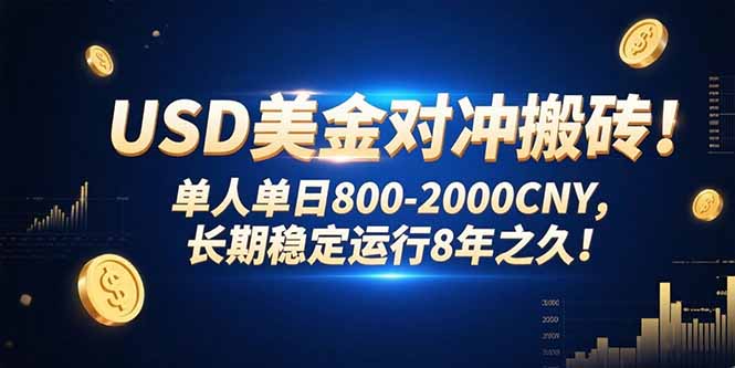 USD美金对冲搬砖!单人单日800-2000CNY，长期稳定运行8年之久!-副业网资源站