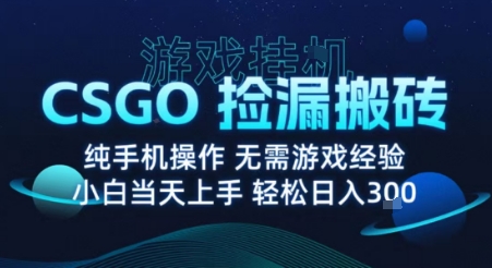 8月最新游戏搬砖，CSGO纯挂G，不需要玩游戏，实现真挂G，月入1W+【揭秘】-副业网资源站