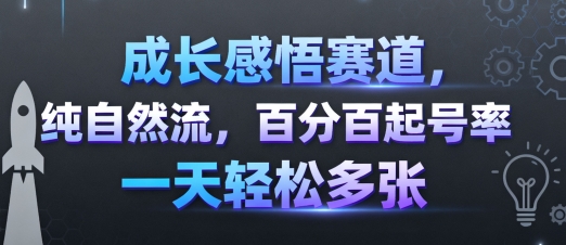 成长感悟赛道，纯自然流，百分百起号率 一天轻松多张-副业网资源站