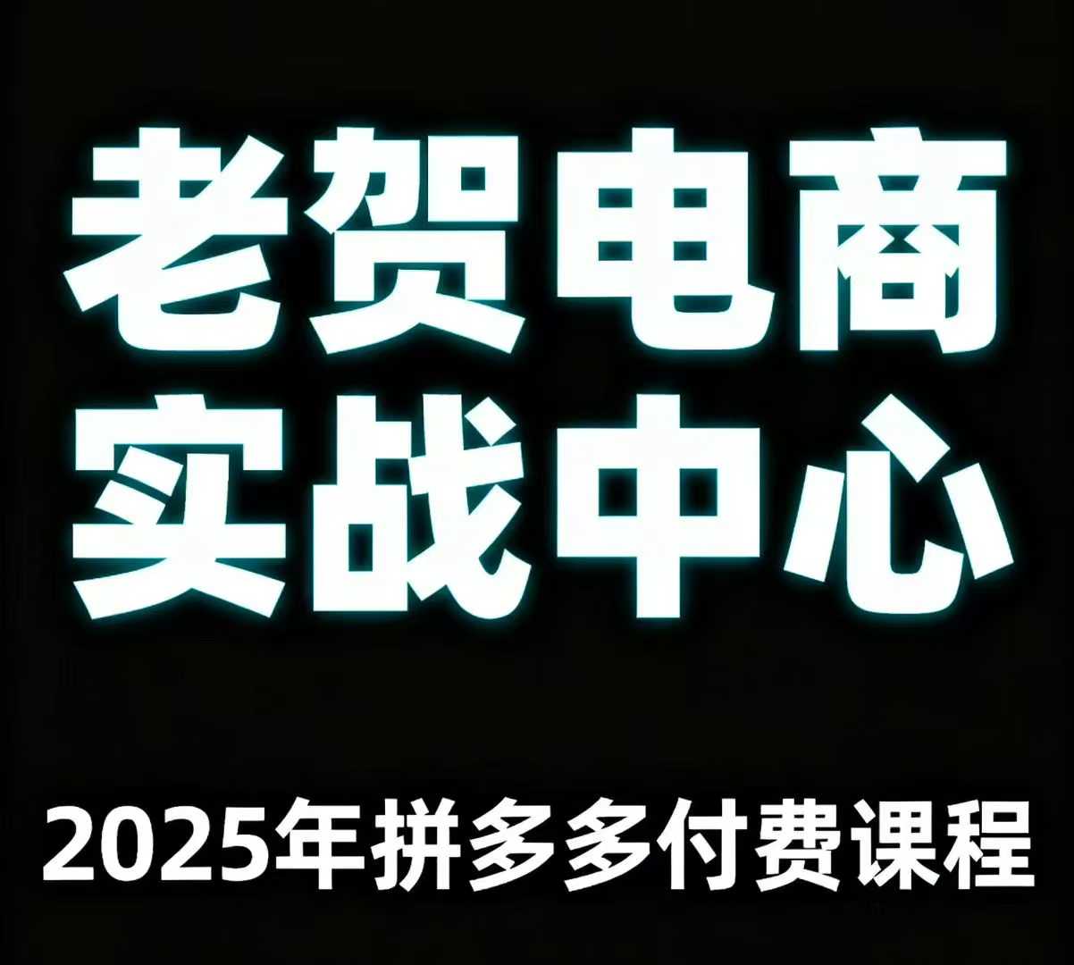 老贺电商2025年拼多多付费课程，用通俗易懂的方法告诉你多多怎么玩-副业网资源站