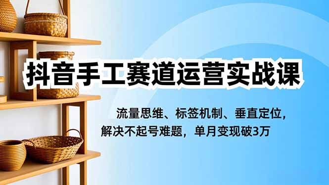 抖音手工赛道运营实战课，流量思维、标签机制、垂直定位，解决不起号难题，单月变现破3万-副业网资源站