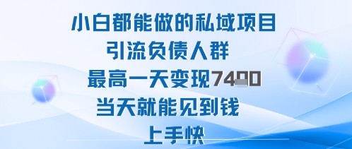 2025年小白都能做的私域项目引流负债人群最高一天变现1k+高变现难度低当天就能见到钱上手快-副业网资源站