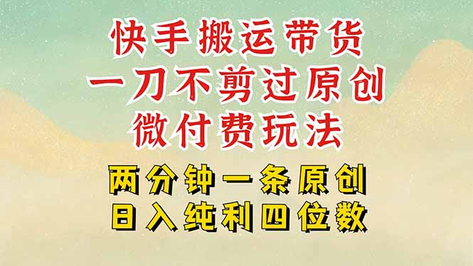 快手黑科技搬运带货，一刀不剪过原创，微付费投流玩法，轻松日入四位数…-副业网资源站