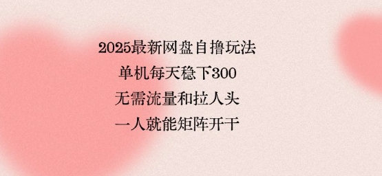 2025最新网盘自撸玩法，单机每天稳下3张，无需流量和拉人头，一个人就可轻松矩阵，全网独一份【揭秘】-副业网资源站