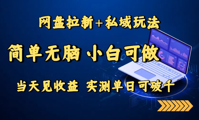 网盘拉新+私域玩法，简单无脑，小白可做，当天见收益，实测单日可破千-副业网资源站