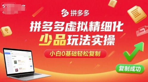 拼多多虚拟精细化少品玩法实操，小白0基础轻松复制-副业网资源站
