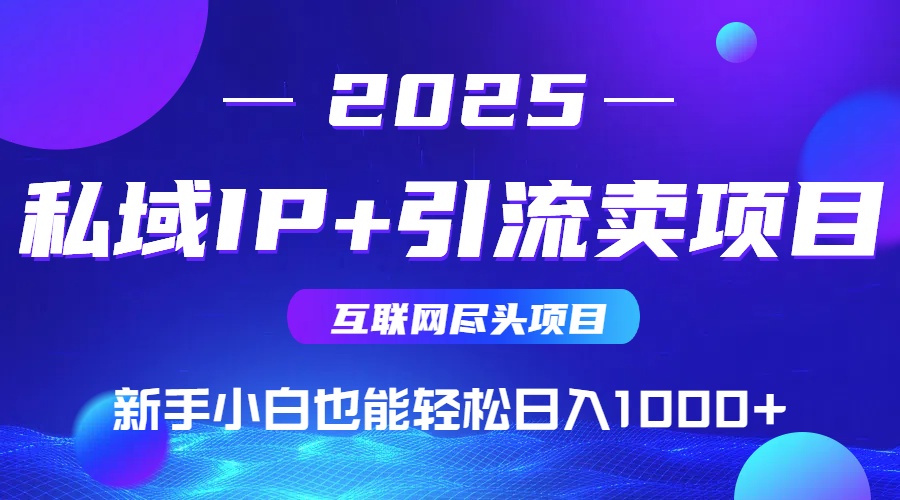 2025网创尽头项目，私域IP+引流，新手小白也能在家日入1000+-副业网资源站