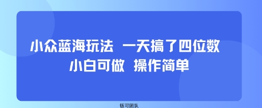 小众蓝海玩法 一天搞了四位数 小白可做 操作简单-副业网资源站