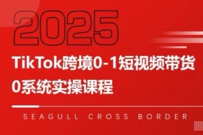 TikTok跨境0-1短视频带货，系统拆解TikTok跨境带货全链路，实现跨境可持续盈利-副业网资源站
