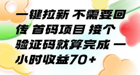一键拉新 不需要回传 首码项目 接个验证码就算完成 一小时收益70+【揭秘】-副业网资源站